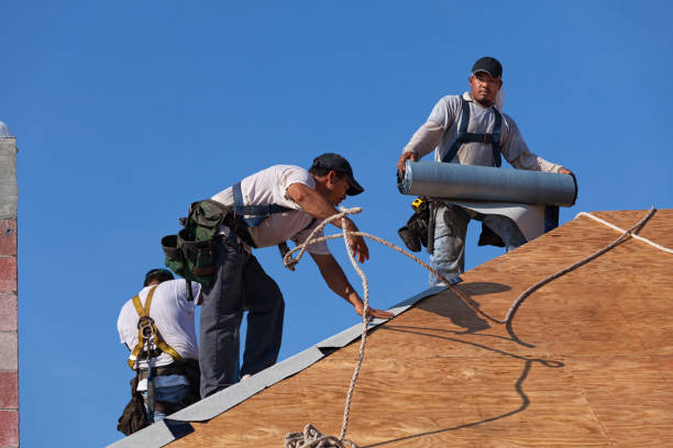 Best Roof Repair Services  in Warsaw, IN